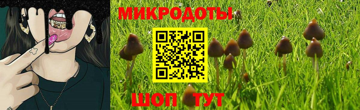 купить наркотик  Вход с VPN  Саратов  Псилоцибиновые грибы Psilocybine cubensis 
